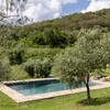 Privater Pool inmitten eines Olivenhain in Umbrien