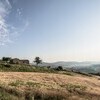 Maison-Malatesta-Le Marche-Italy-photo-Martin-Kaufmann-DSC 4491