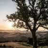 Maison-Malatesta-Le Marche-Italy-photo-Martin-Kaufmann-DSC 7105