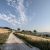 Maison-Malatesta-Le Marche-Italy-photo-Martin-Kaufmann-DSC 4488